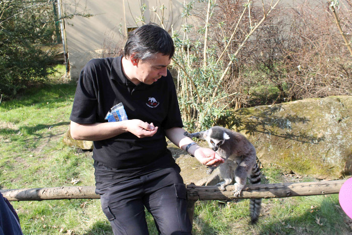 S ProCit do ZOO - Martin Vobruba - krmen lemur - 10. dubna 2015