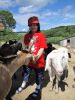 Biofarma Slunečná - Víťa a kozy 2