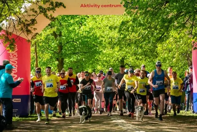 Run for Procit